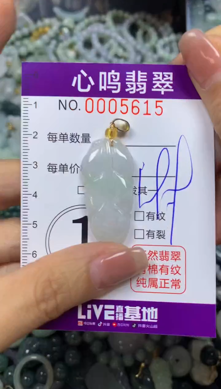 翡翠未镶嵌颈饰闪购005615