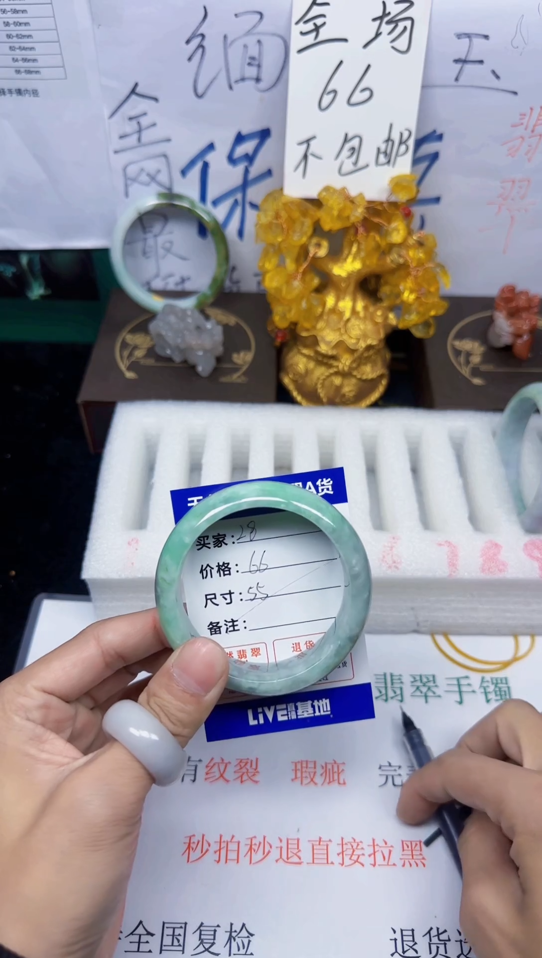 未镶嵌手镯翡翠28