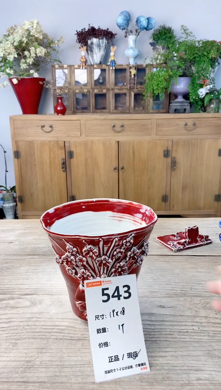 小玩子花盆直播号543