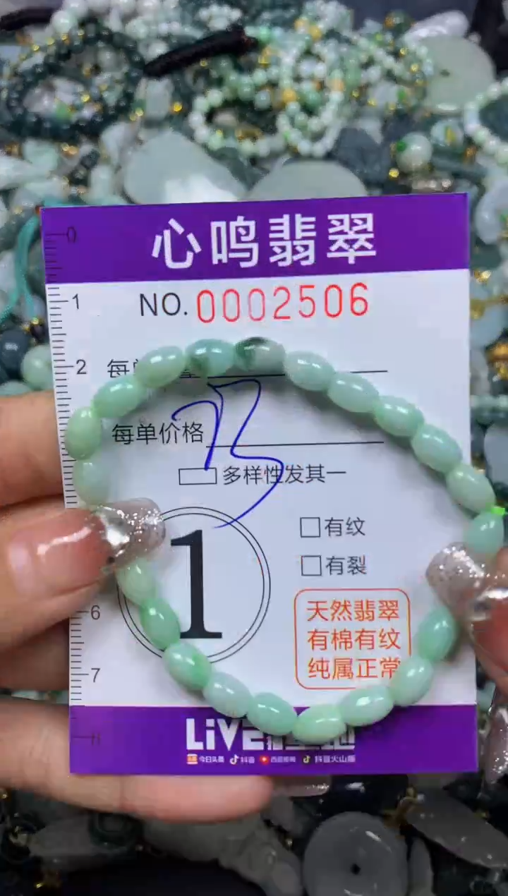 【闪购商品】翡翠颈饰未镶嵌闪购002506
