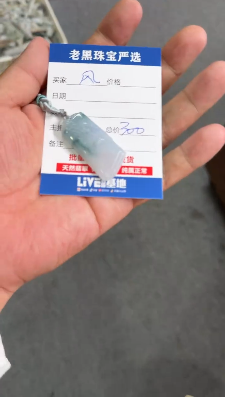 【闪购商品】翡翠颈饰未镶嵌翡翠