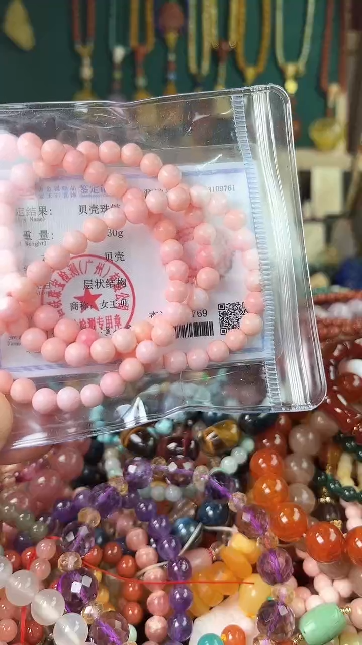 .贝壳未镶嵌（一物一件）753
