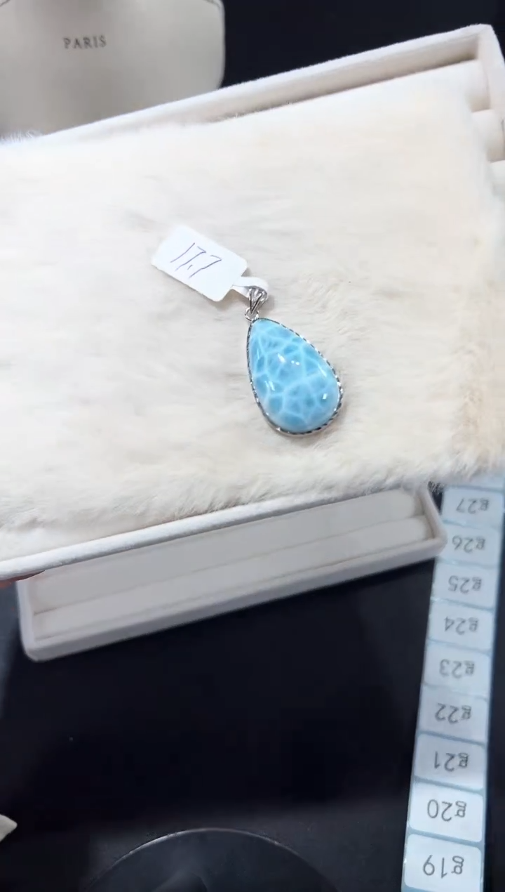 银S925镶嵌针钠钙石（海纹石）吊坠(不含链)19g多样性发其一【1个】