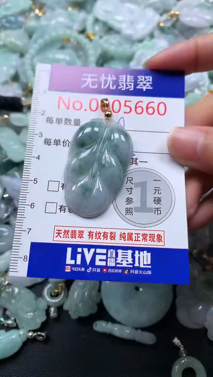 颈饰未镶嵌翡翠5660