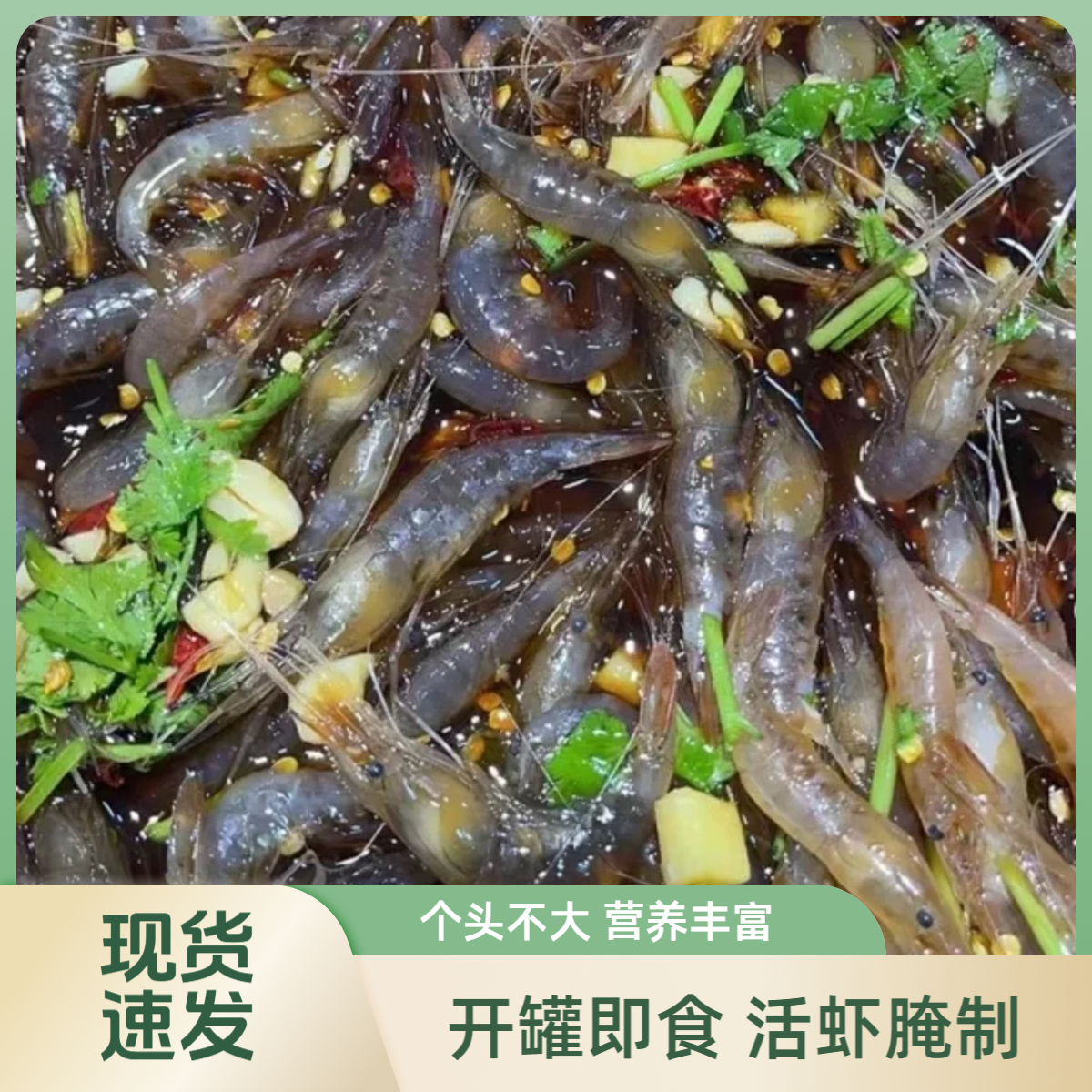 【三瓶呛虾】生呛白米虾3瓶每瓶含汤500克传统手工腌制无虾线