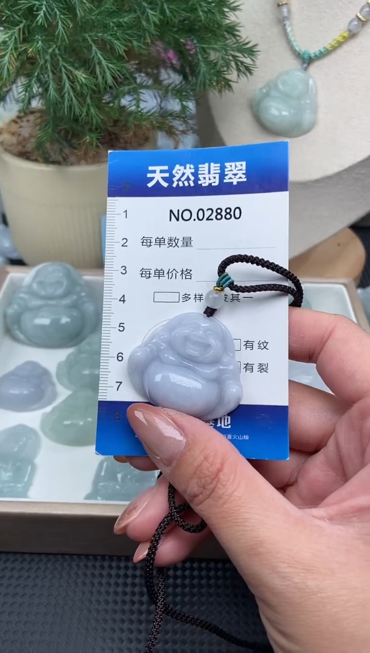 颈饰未镶嵌翡翠纯天然A货翡翠2880