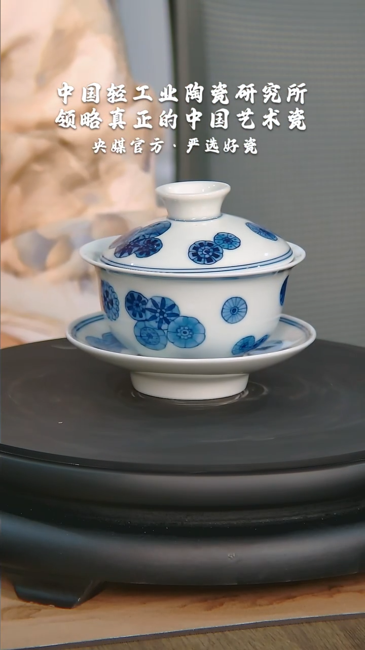 【闪购商品】瓷片陶瓷 研究所    流水16