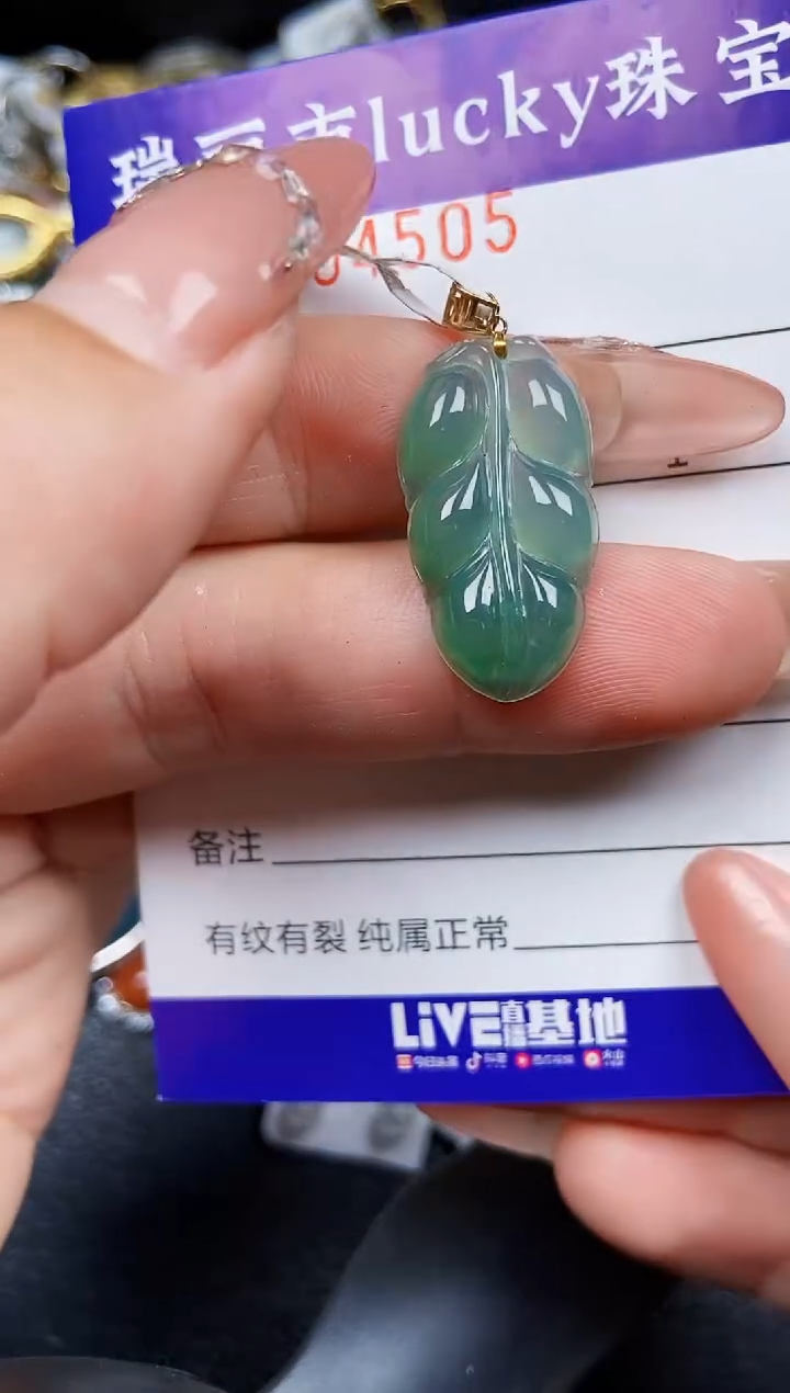 翡翠18K金镶嵌颈饰450518k