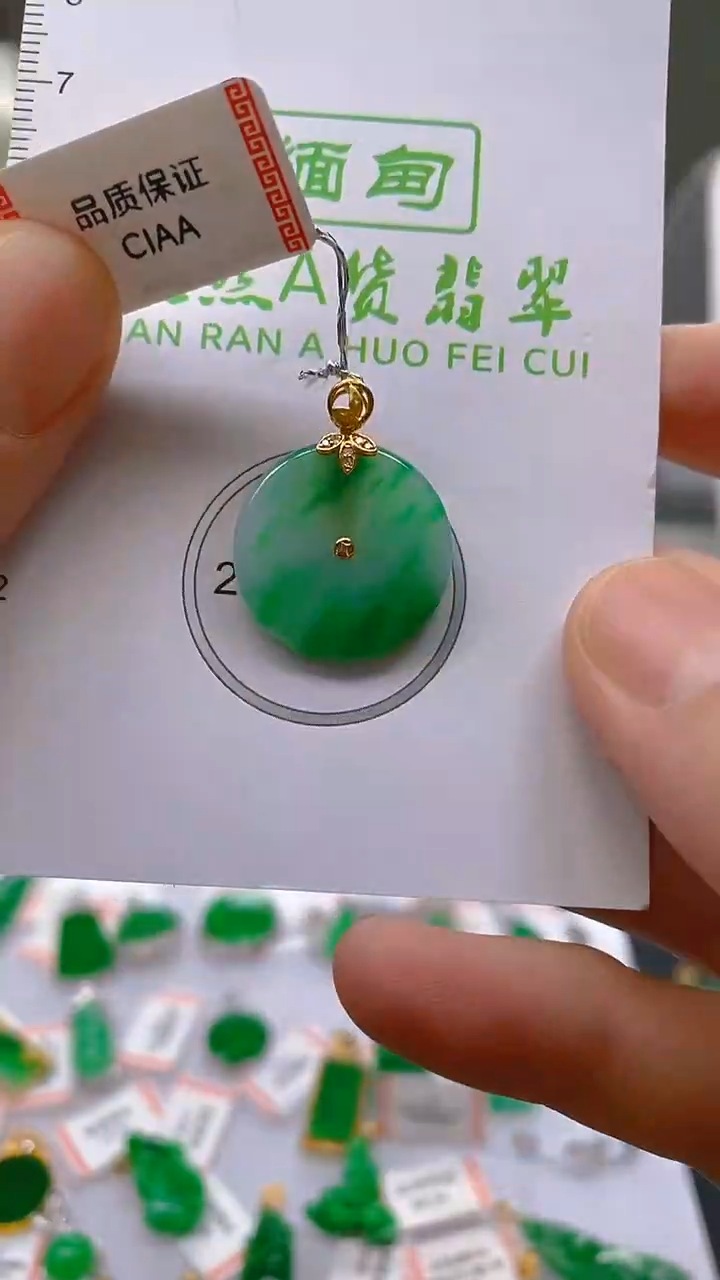 【闪购商品】翡翠颈饰18K金镶嵌新号开播，全场乱卖