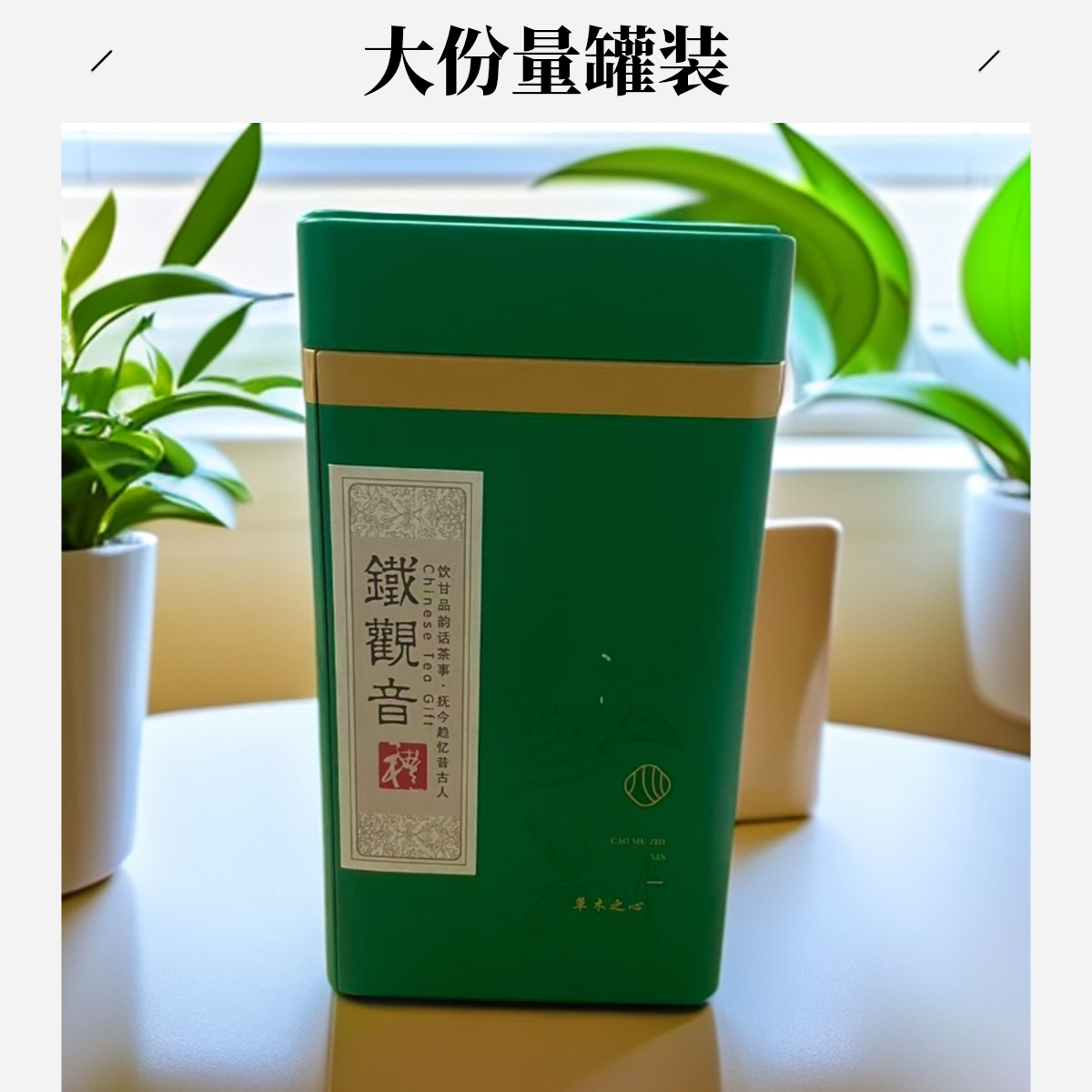 铁观音 茶叶 乌龙茶 新茶铁观音 一罐100克