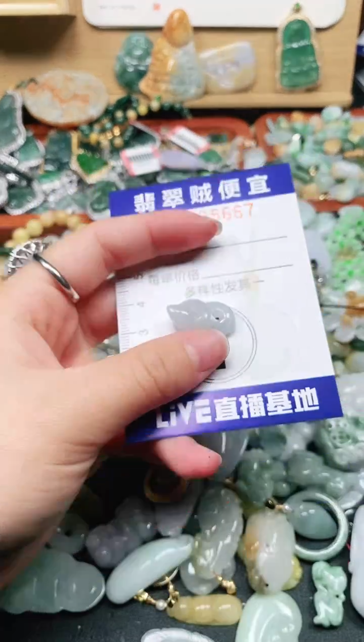 【闪购商品】翡翠颈饰未镶嵌闪购0005667