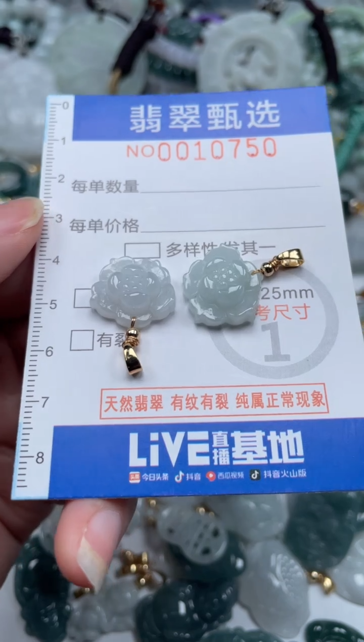 颈饰未镶嵌翡翠10750