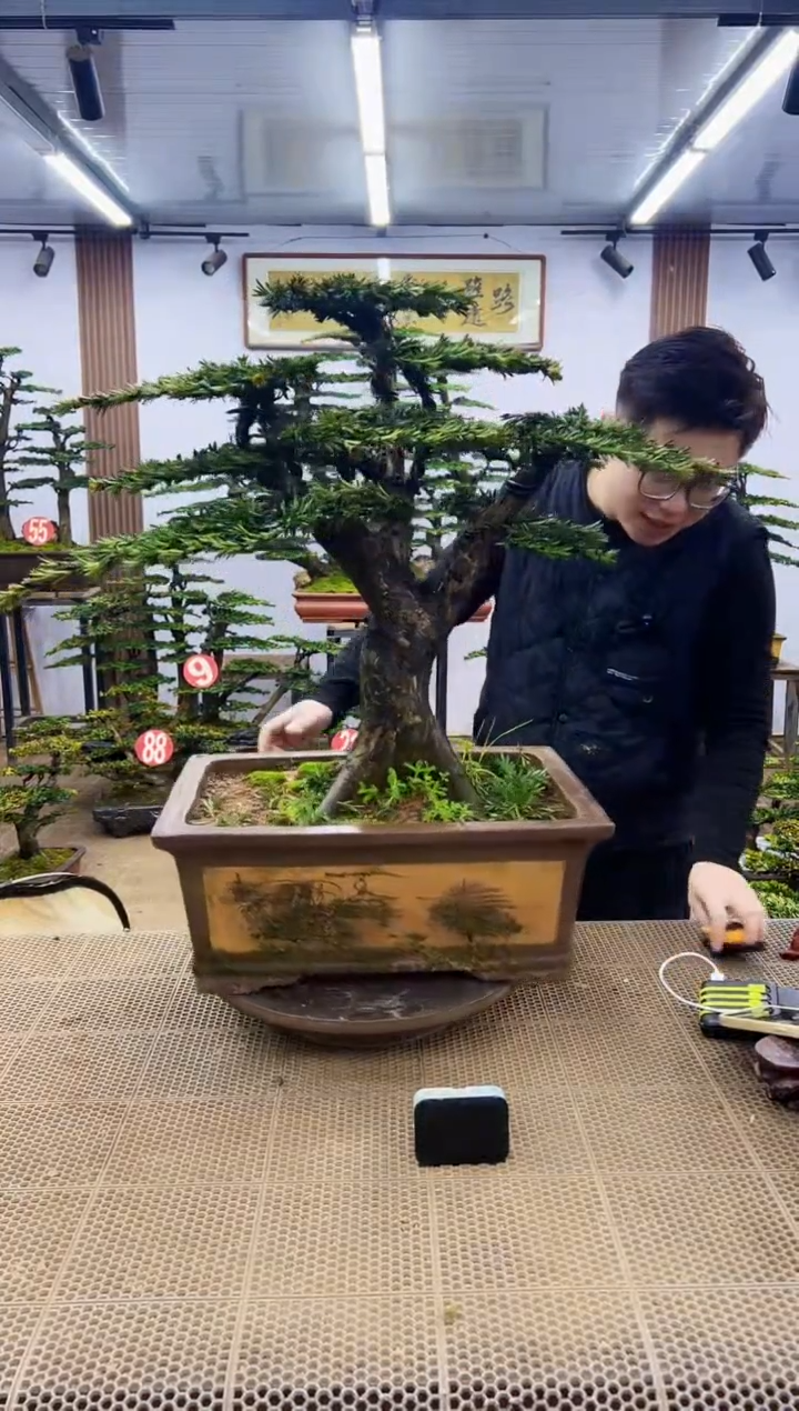 【闪购商品】一物一拍，所见即所得