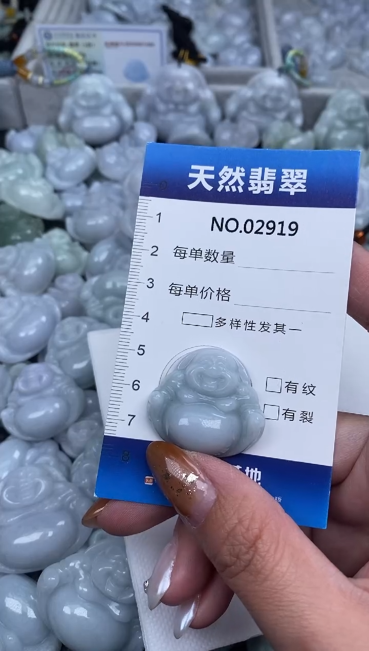 颈饰未镶嵌翡翠纯天然A货翡翠2919
