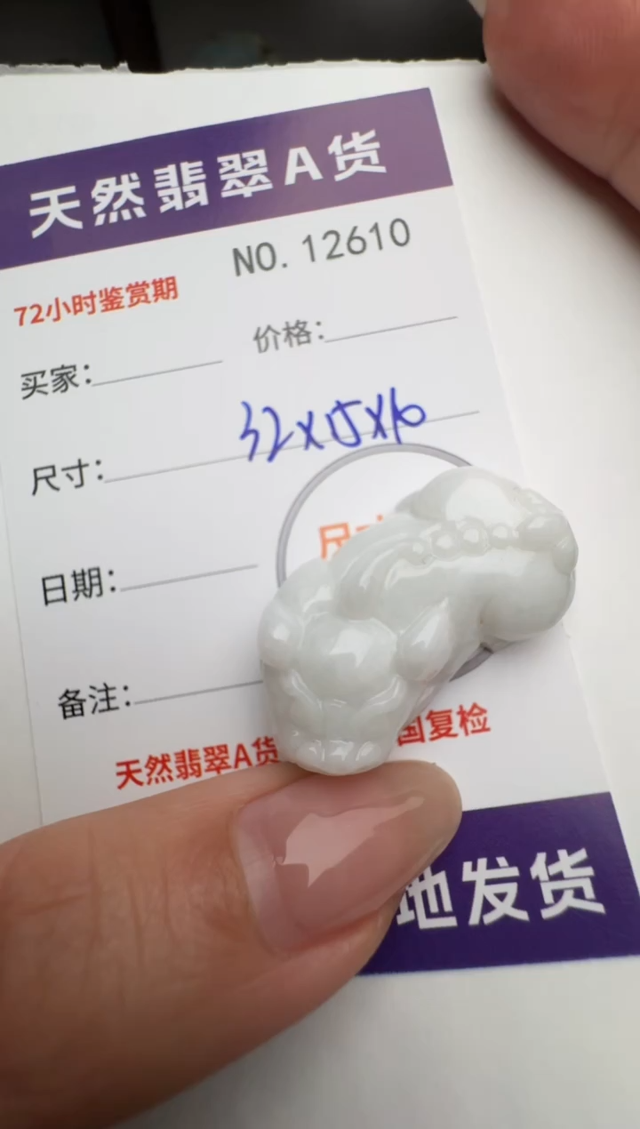 【闪购商品】翡翠颈饰未镶嵌貔貅12610