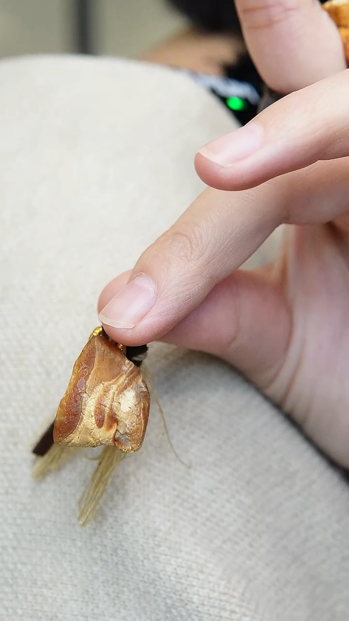 【闪购商品】蜜蜡裸石未镶嵌原石