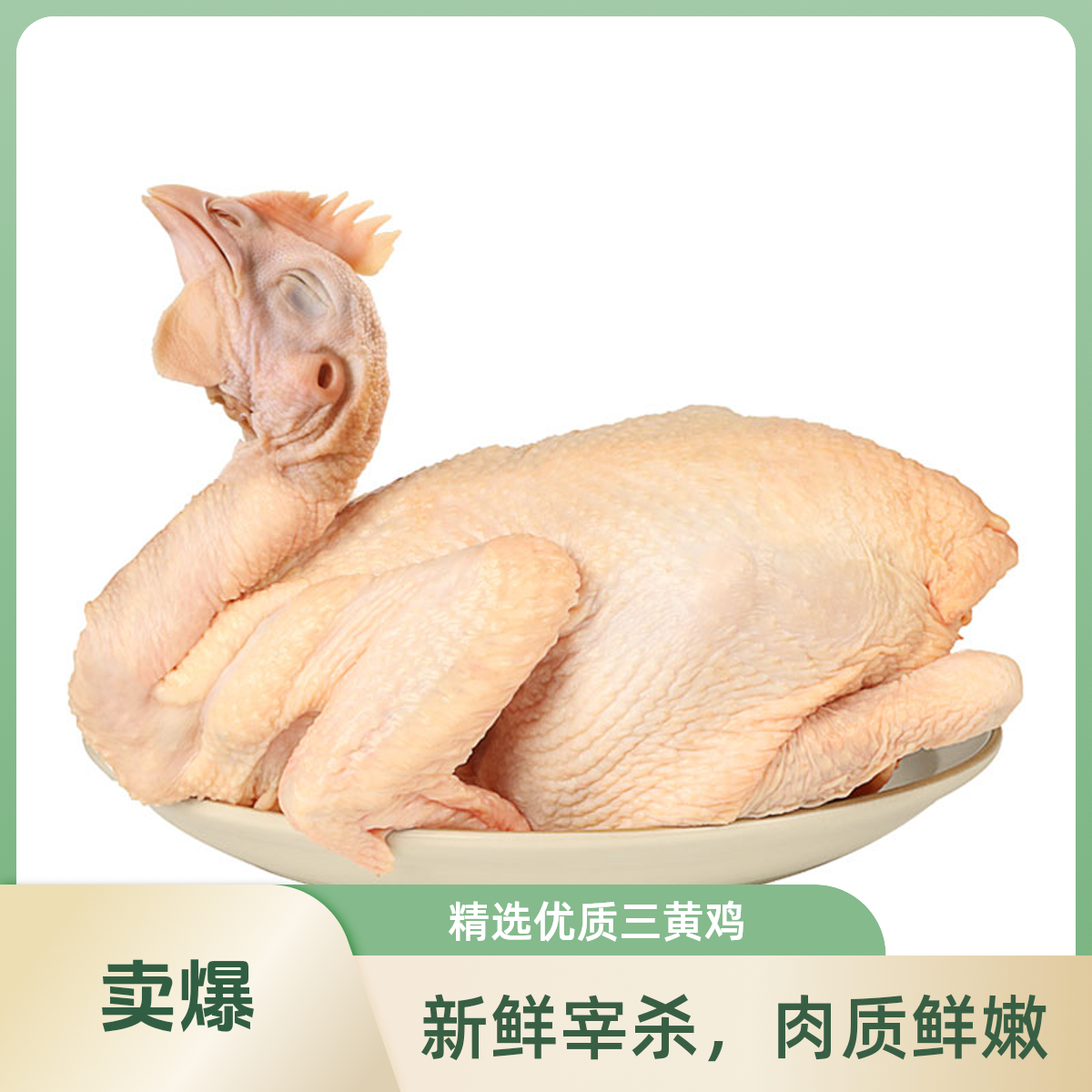 【美一天新鲜】 三黄鸡/只（可以切块）