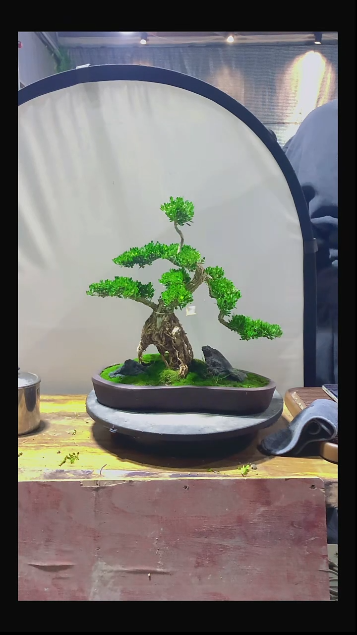 完全开放7****间111111111111