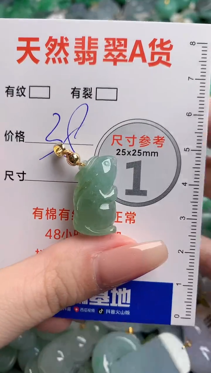 翡翠未镶嵌颈饰13005167