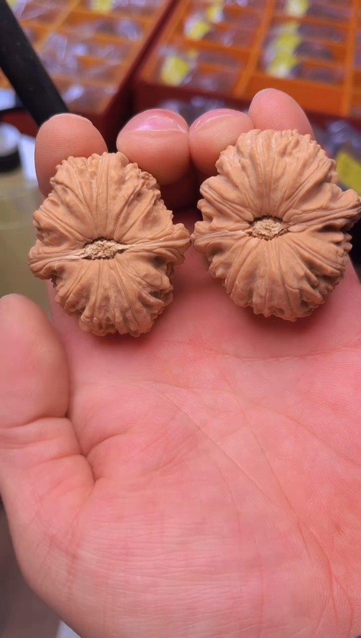 【闪购商品】文玩核桃把件41闷尖白狮子