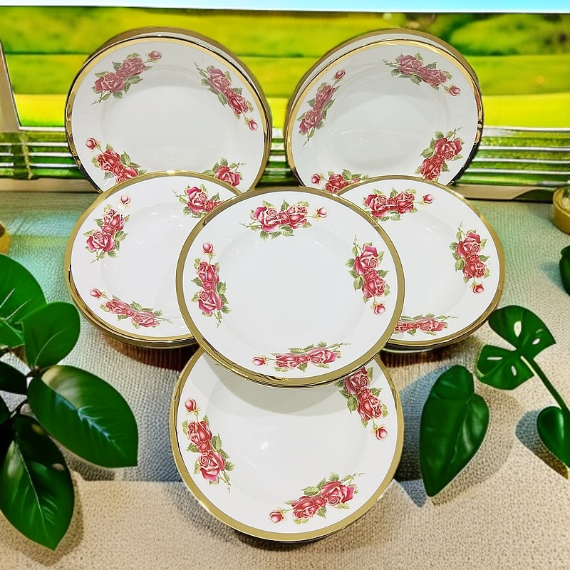 新疆包邮【红玫瑰陶瓷10个拉面盘子】陶瓷好看家用 高档 拉面盘子