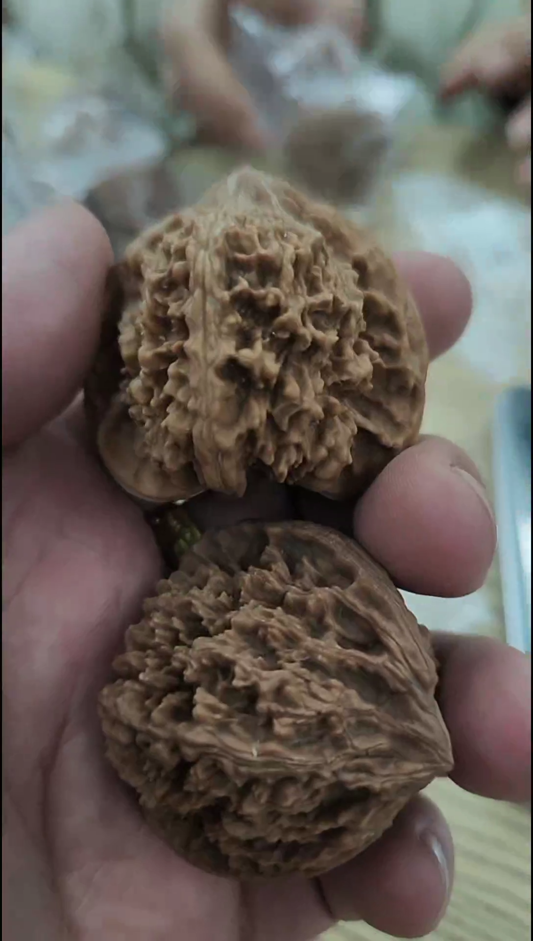 把件核桃福利单【百花山】白茬无修老款#410148