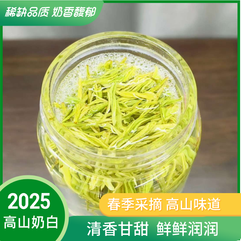 【金丝小熊猫奶白N28】2025新茶奶香白茶黄金芽原产地春季绿茶