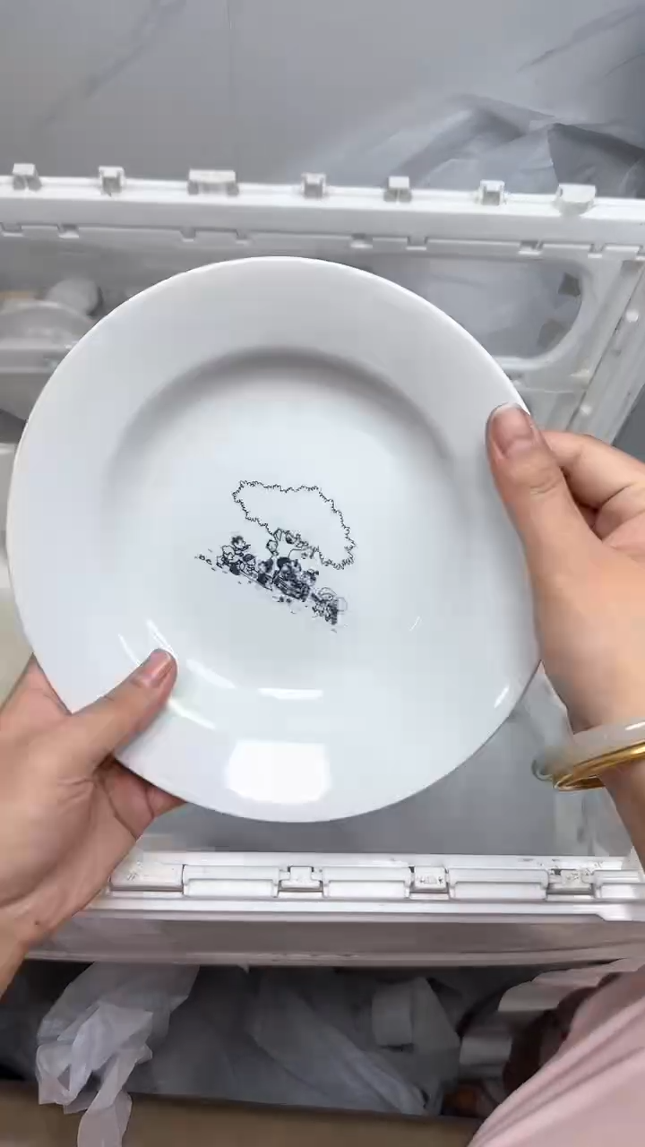 【闪购商品】1351回流瓷器默认微瑕，18.8包邮