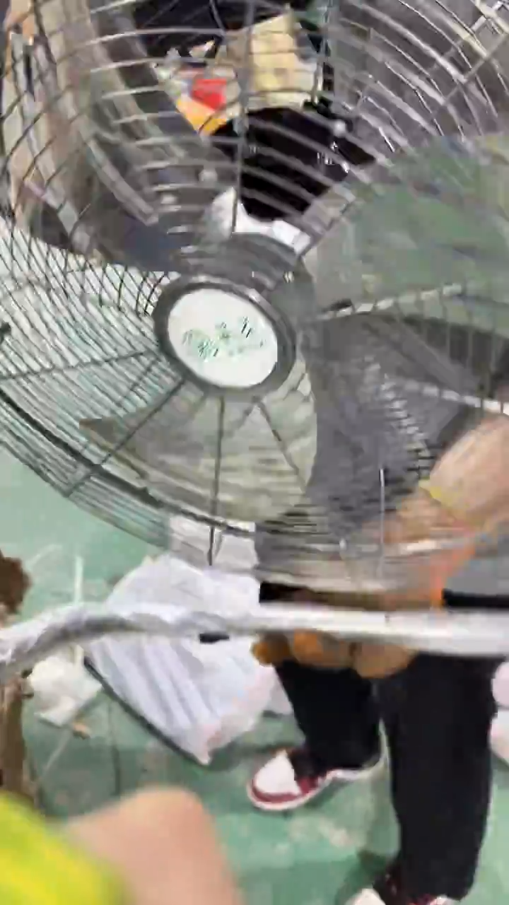 看清下单不退不换86