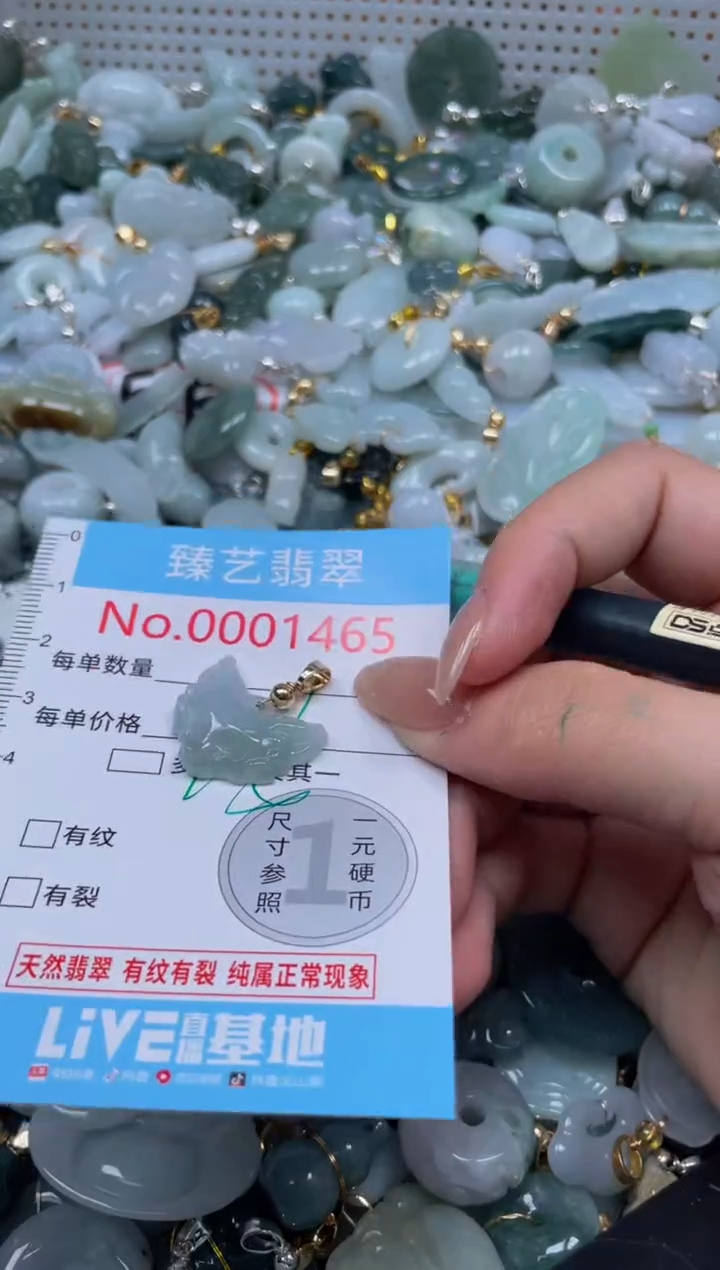 颈饰未镶嵌翡翠1465
