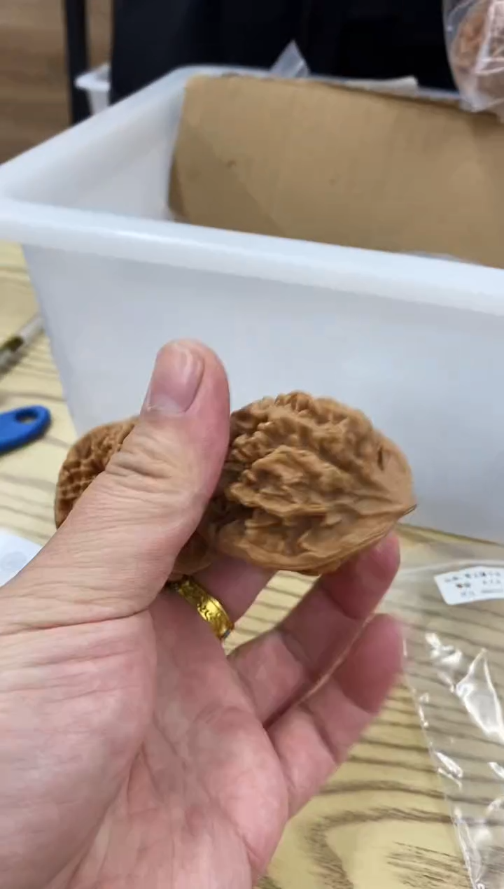 把件核桃【帝王狮子头】#48AAA#22