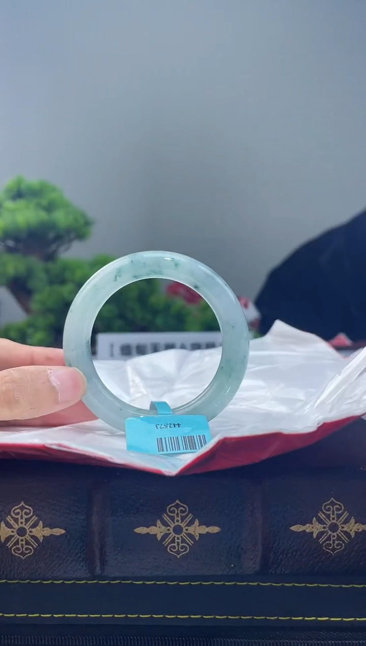 【闪购商品】翡翠手镯未镶嵌6手镯