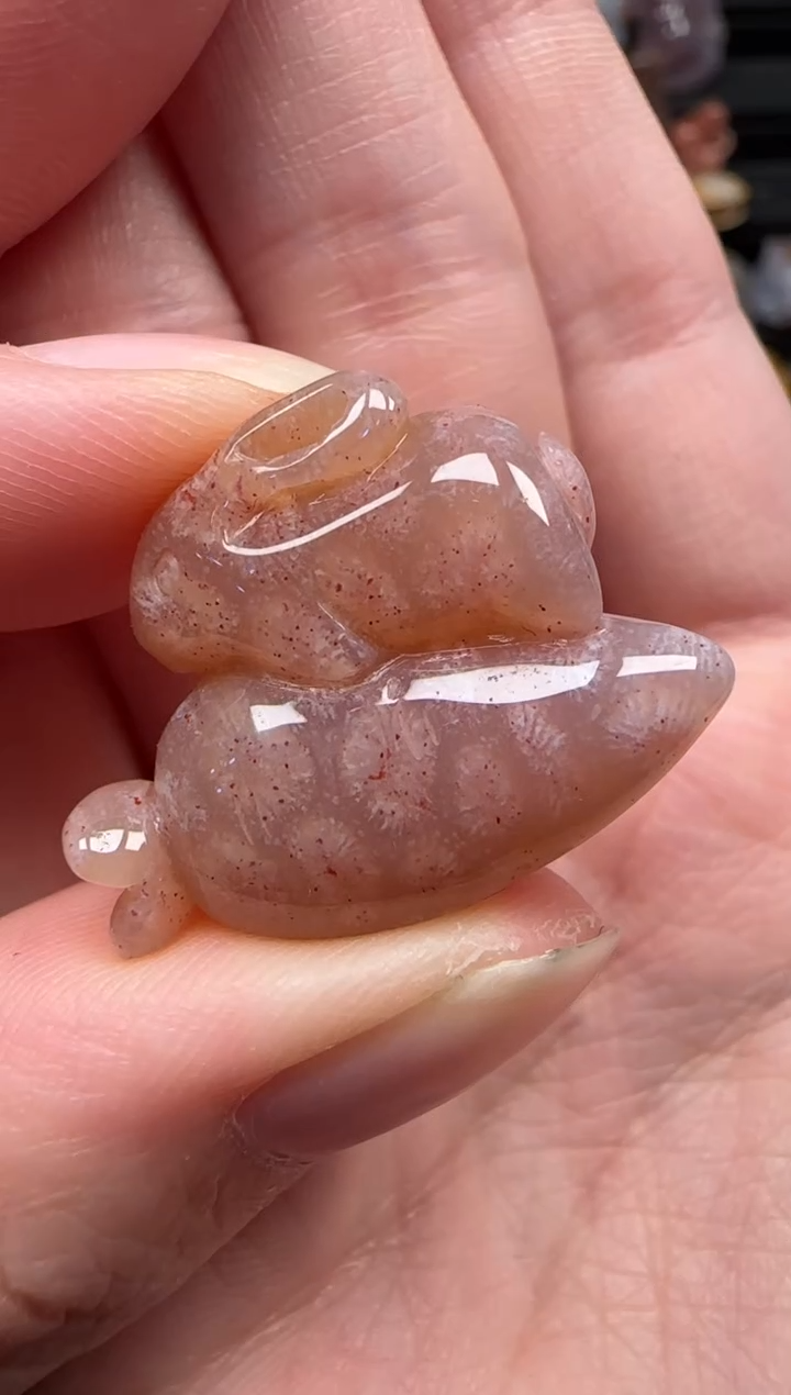 颈饰未镶嵌硅化珊瑚（珊瑚玉）122