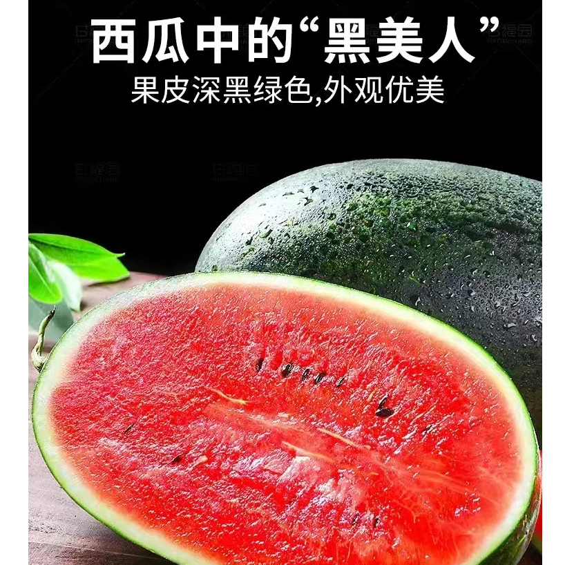【大-董】黑美人西瓜 3个/箱 （毛重13斤左右）