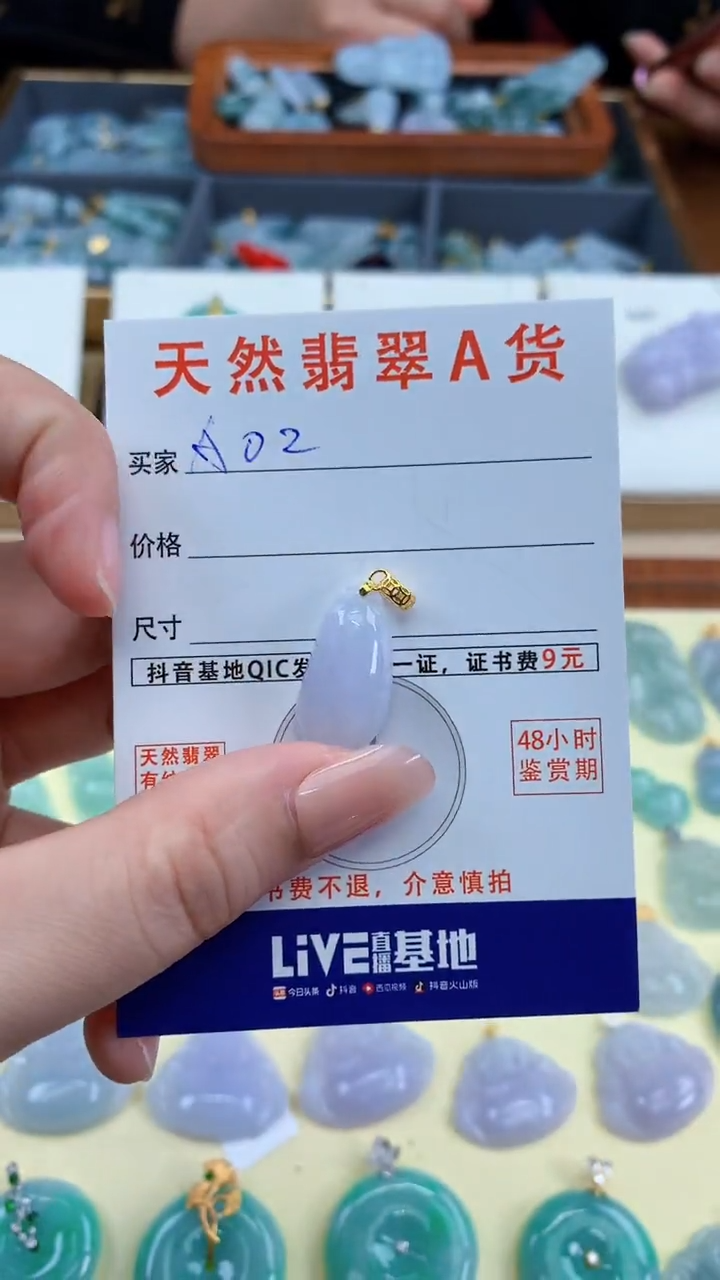 颈饰未镶嵌翡翠天然A货翡翠挂件
