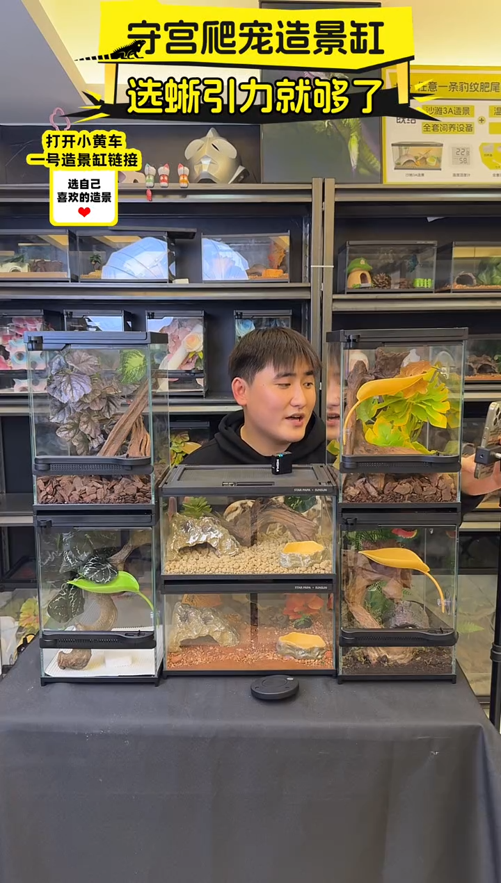 锐锐麻麻（豹纹造景缸大加热垫保鲜蟋蟀3）礼赠温湿度计虫泥5垫材