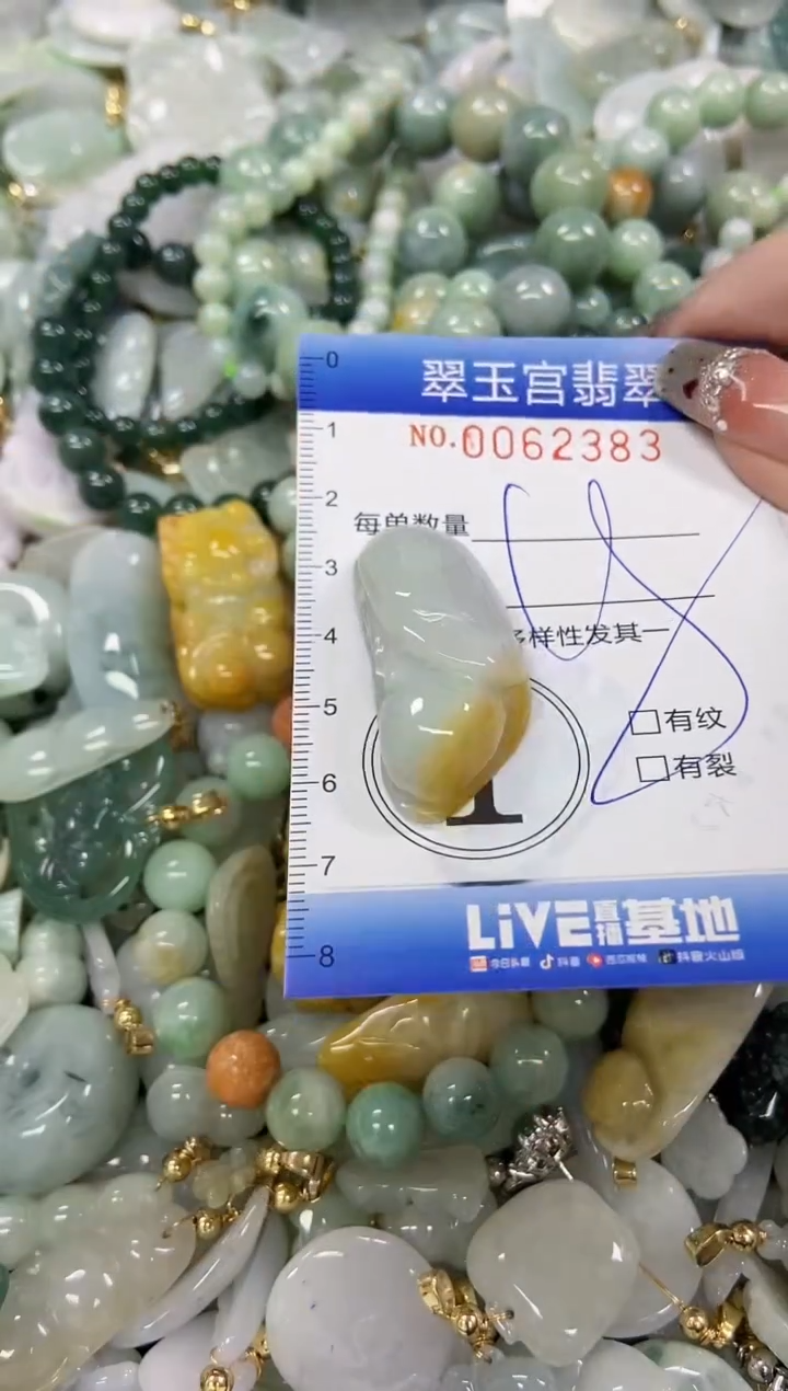 【闪购商品】翡翠颈饰未镶嵌闪购商品0062383