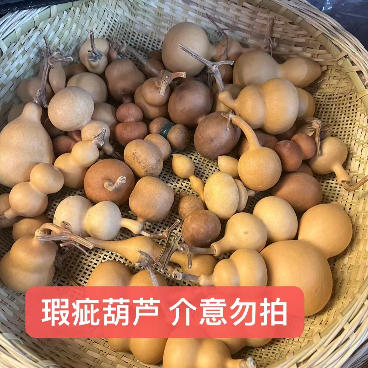 （大葫芦不包邮）自然种植天然文玩葫芦