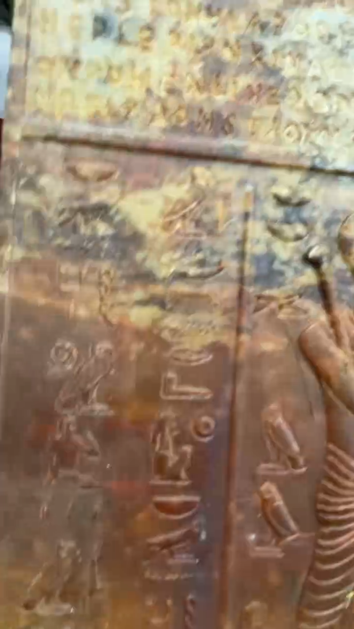 【闪购商品】瓷片瓷器瓷器瓷器瓷器