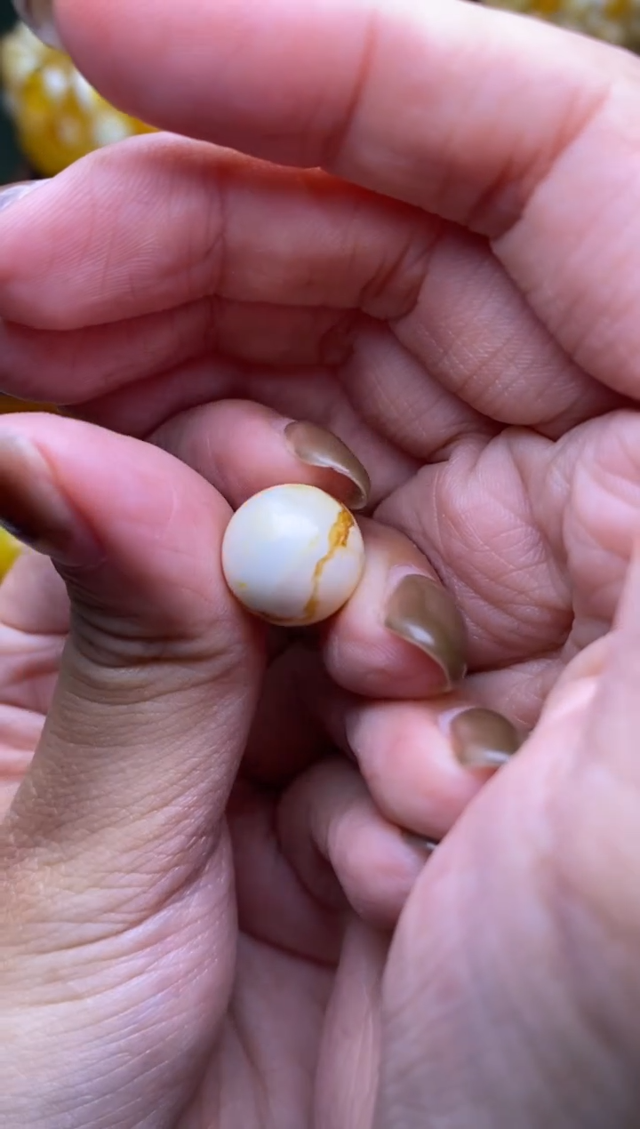 【闪购商品】琥珀裸石未镶嵌大小姐珠宝严选98