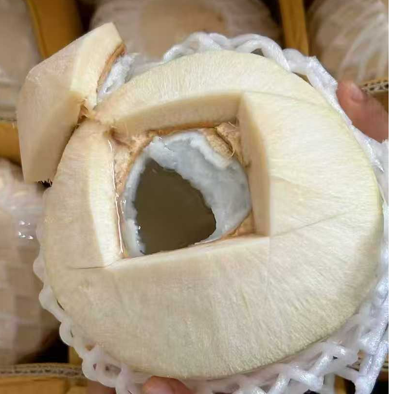 现开椰青！椰肉滑嫩椰汁清甜，一口爱上热带鲜爽