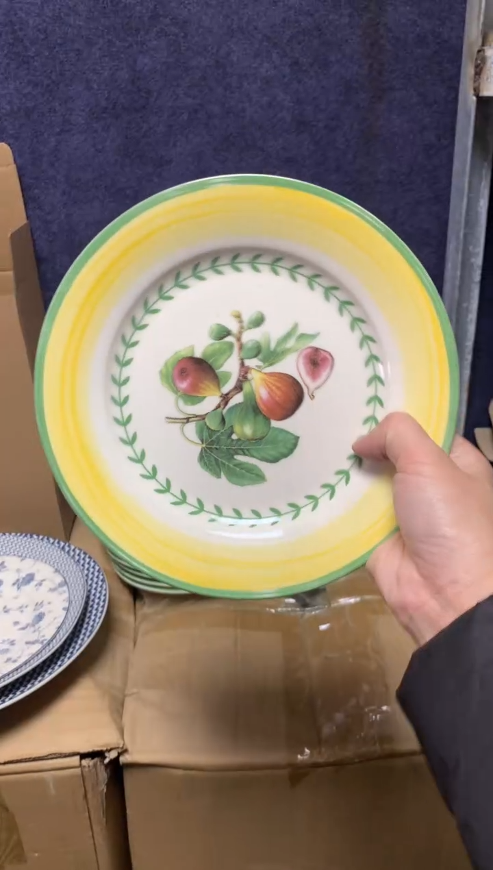 【闪购商品】瓷片CC975陶瓷没有完美无瑕陶瓷1个8寸