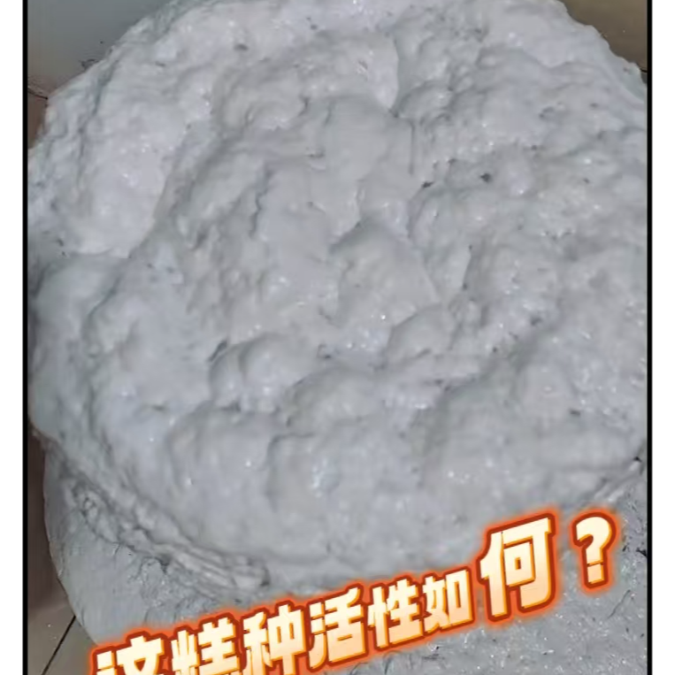 传统发糕糕种制做视频教学