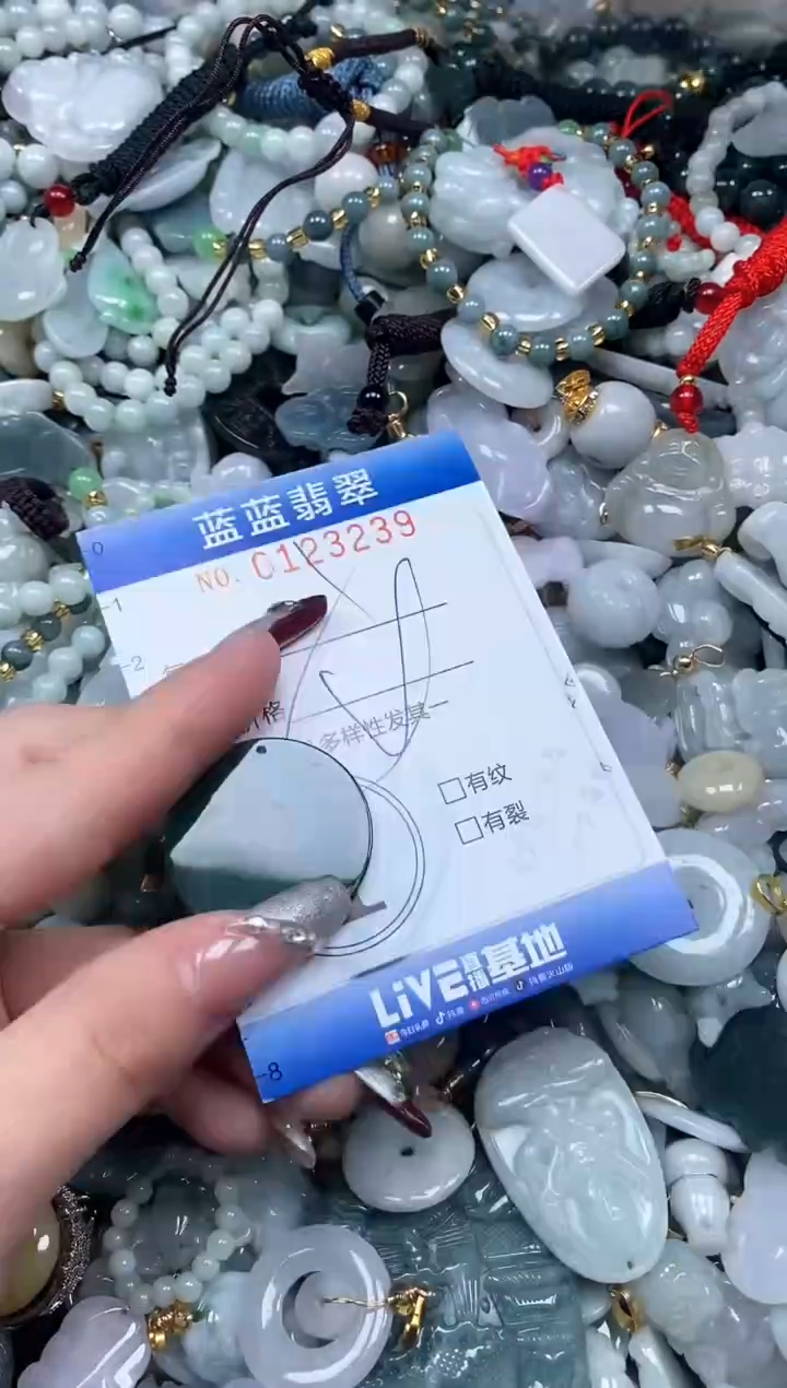 【闪购商品】翡翠颈饰未镶嵌闪购0123239多样性发其一