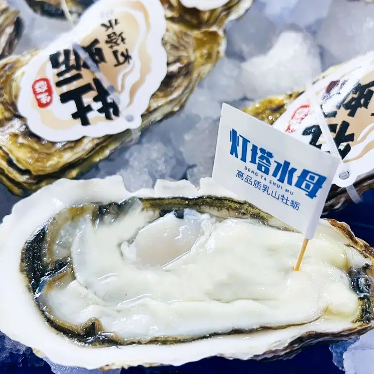 灯塔水母生蚝5两（0.5斤）生蚝7元一只