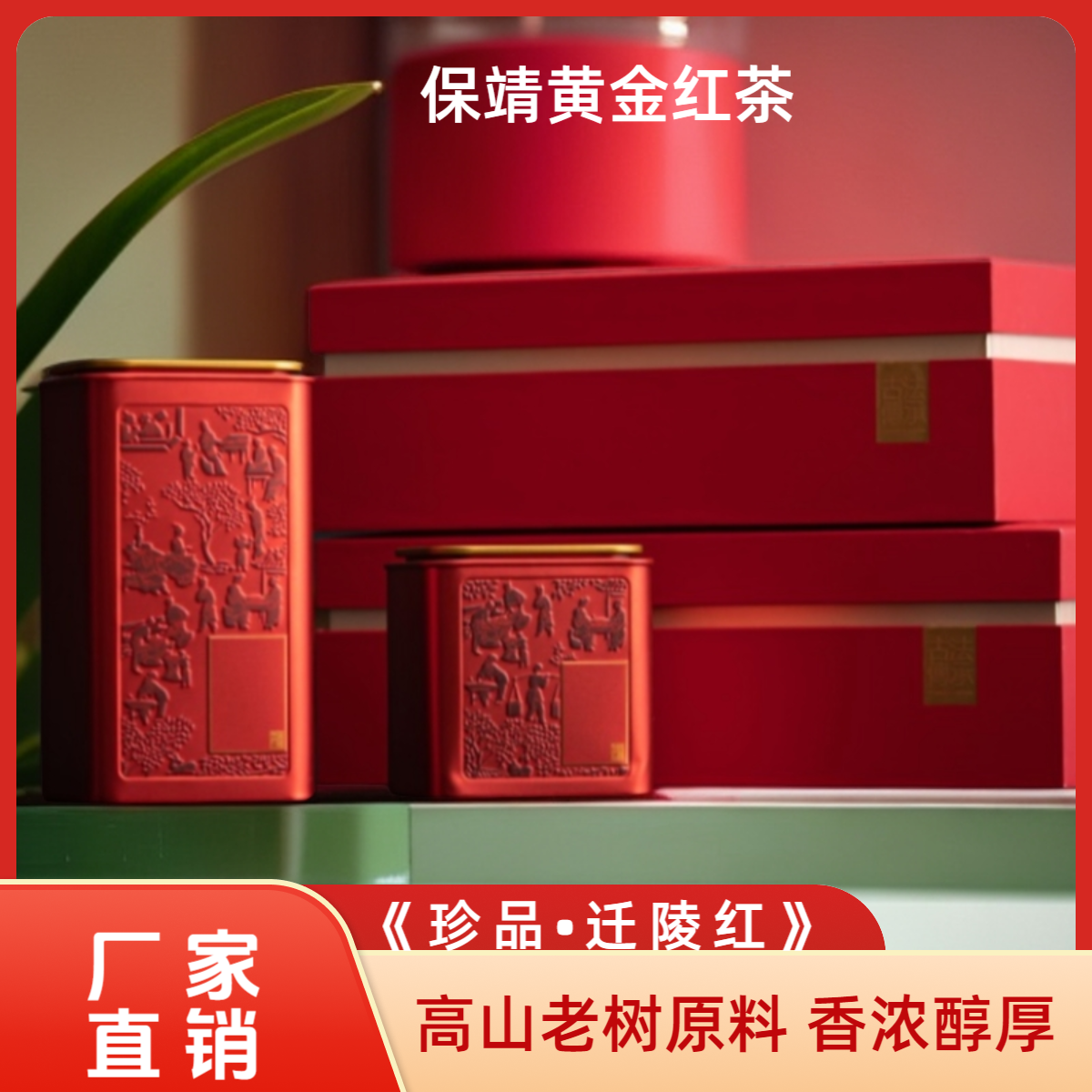 迁陵茶业  2025年 《珍品•迁陵红》香浓醇厚 回味悠长