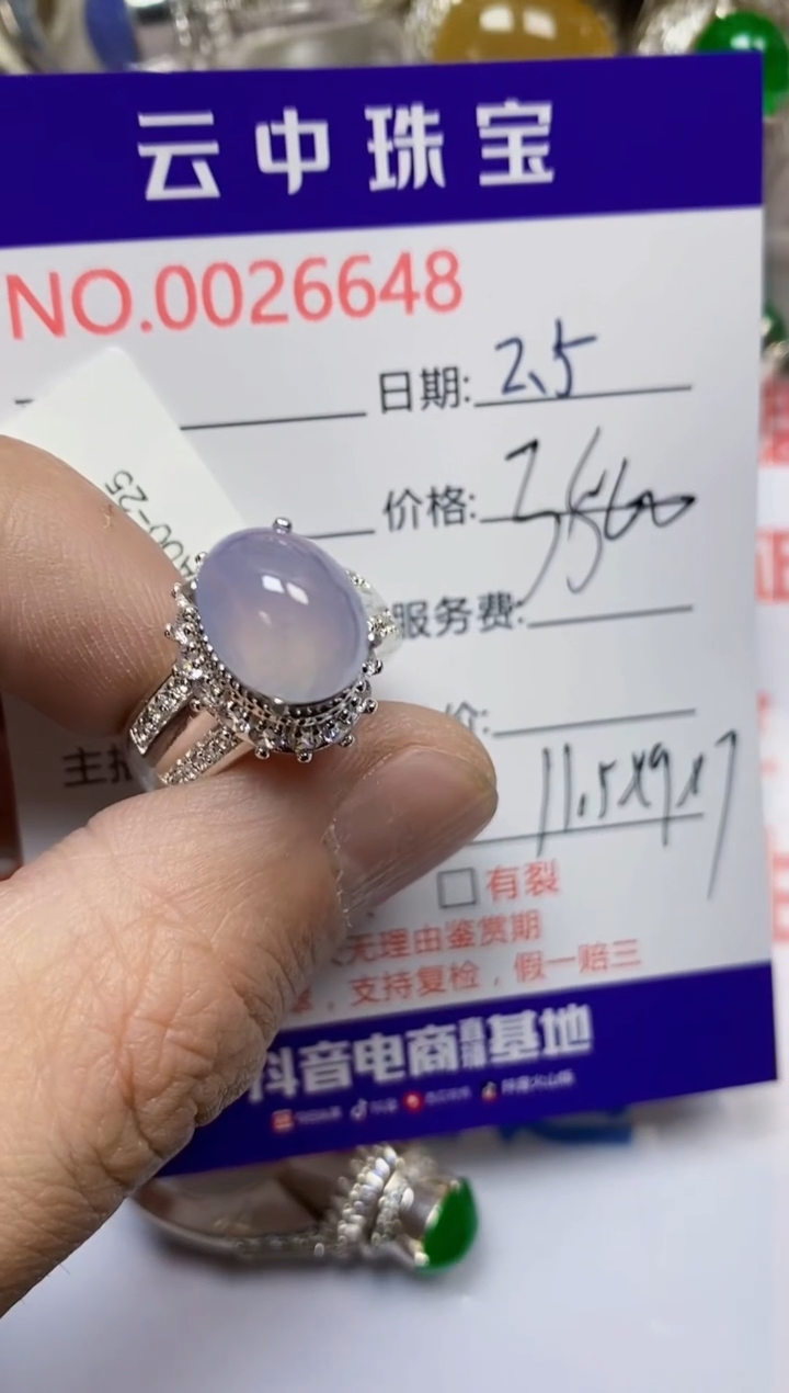 【闪购商品】翡翠戒指未镶嵌/66480000