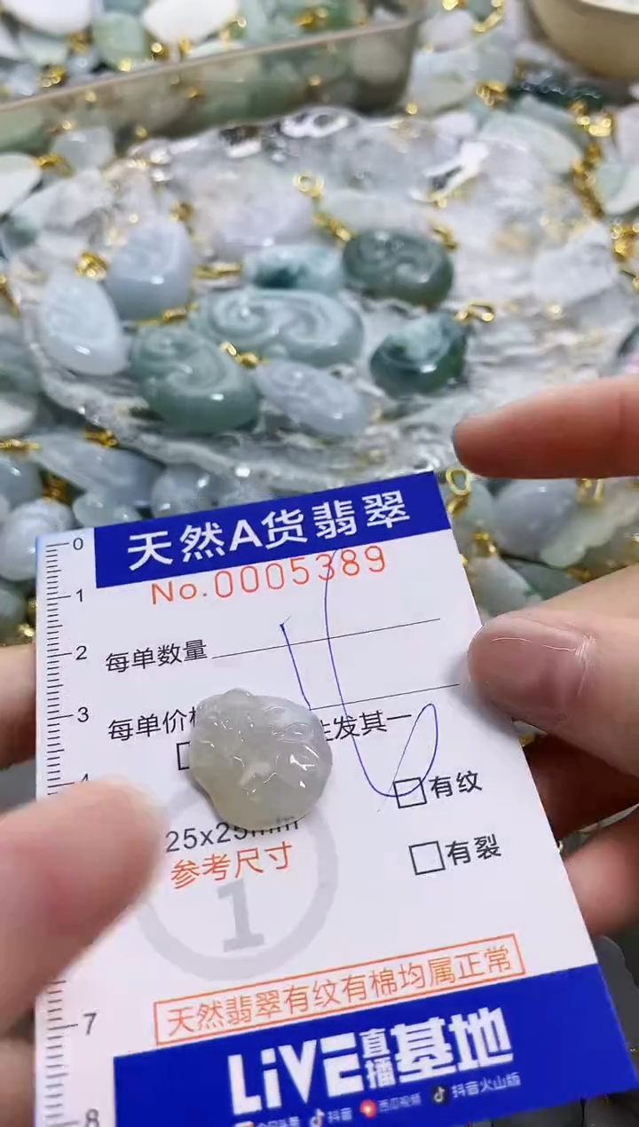 颈饰未镶嵌翡翠天然A货翡翠