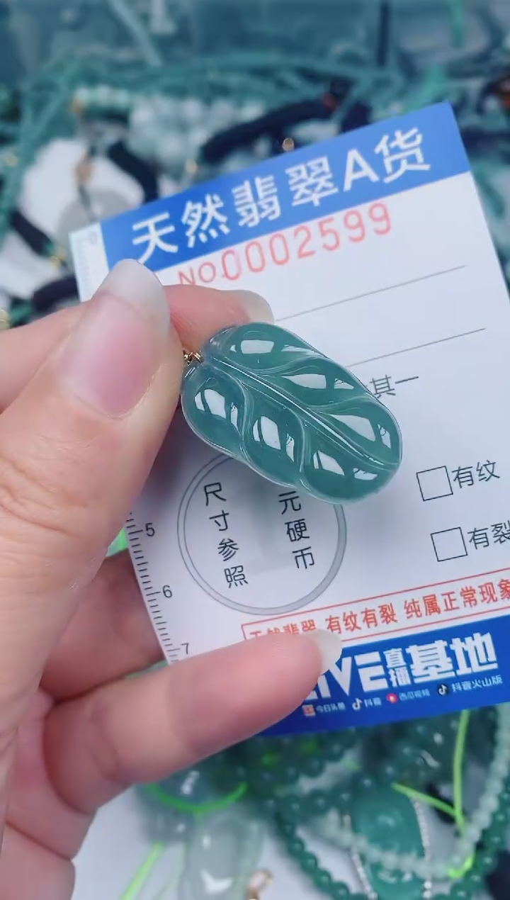 颈饰未镶嵌翡翠00002599