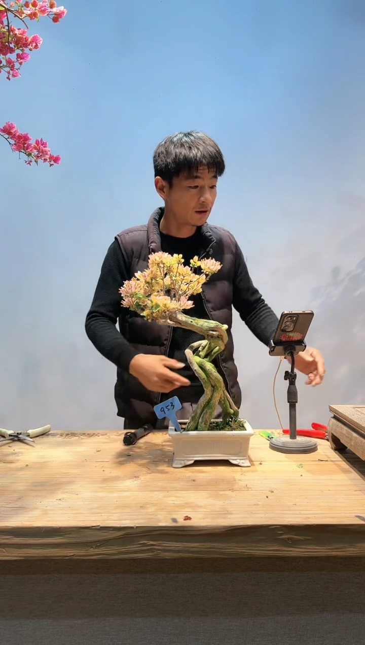 【闪购商品】aa953